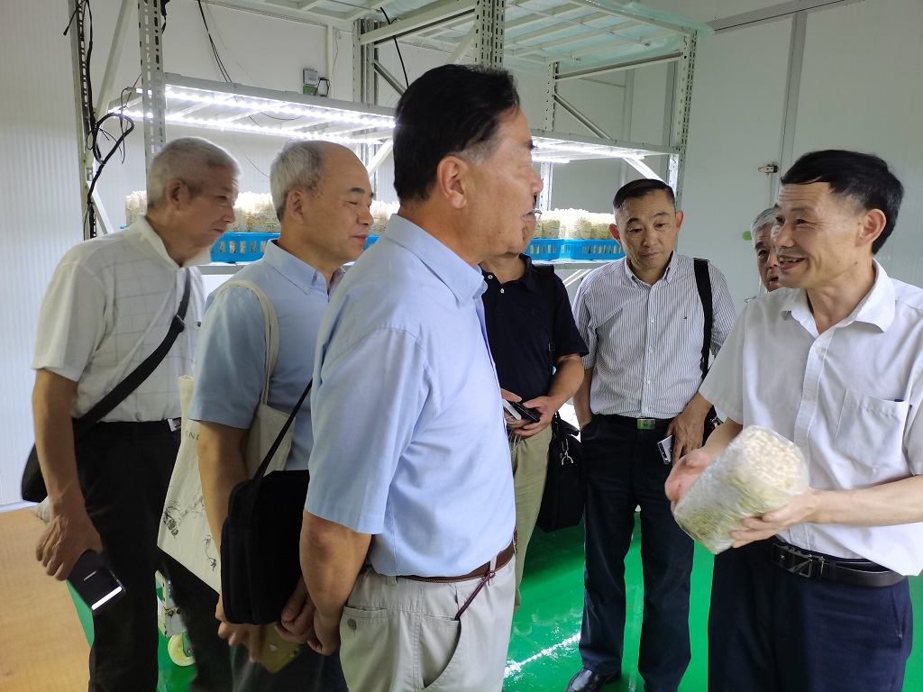 学会考察调研活动掠影59